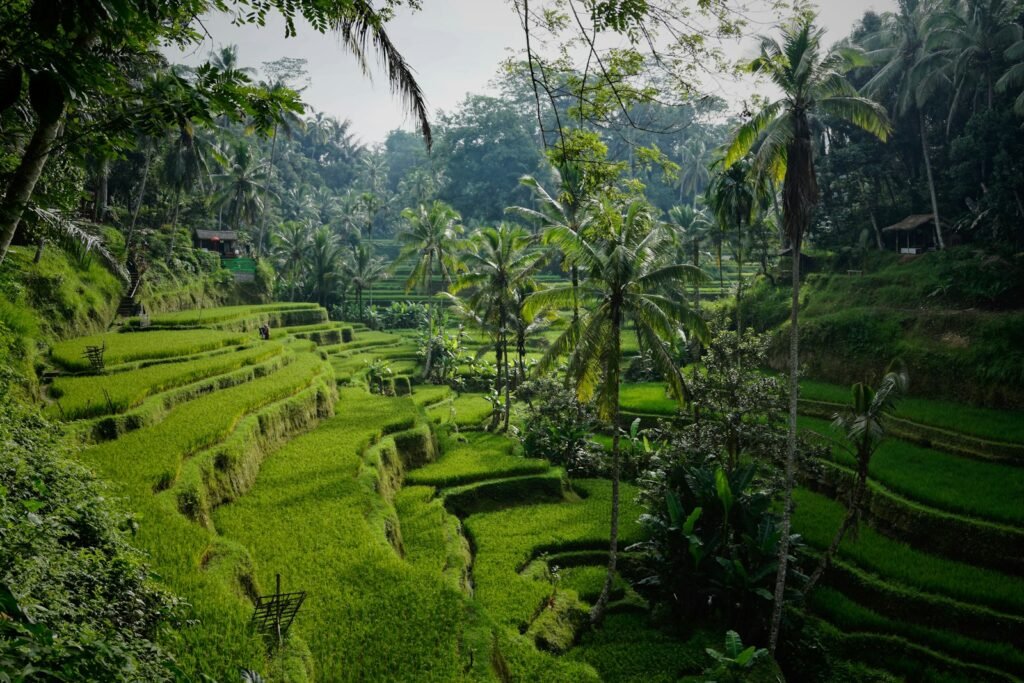 Breathtaking Bali