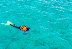 World-Class Marine Adventures