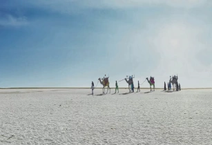 Explore The Great Rann Of Kutch 