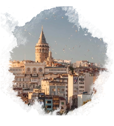 About your Trip
