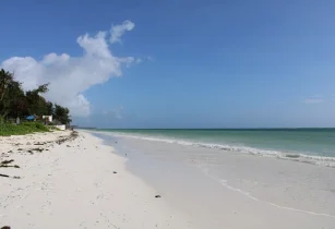 Visit Elephant Beach 