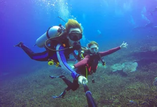 Try Scuba Diving & Snorkelling 