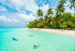Relax At Goa’s Beaches