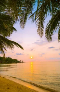 Goa