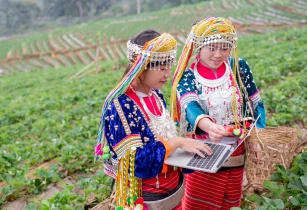 Local Culture & Heritage