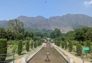 Explore Srinagar's Mughal Gardens