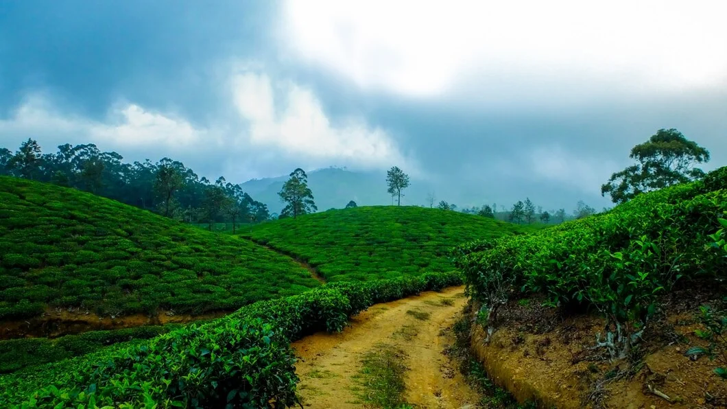 Kerala Tour Packages