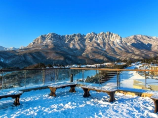 Winter Season  