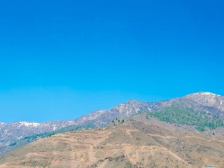 Peak Season from  