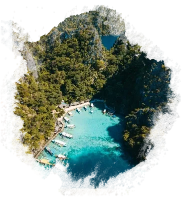 About your Trip