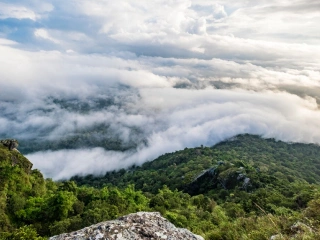 Peak Season