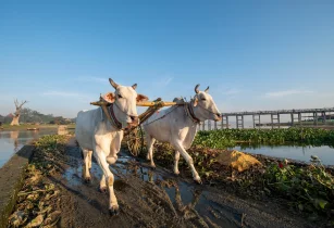 Vibrant Local Life, Food & Cultural Experiences