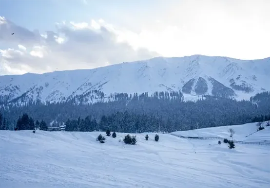Kashmir 6 Days Honeymoon Package (5N/6D)