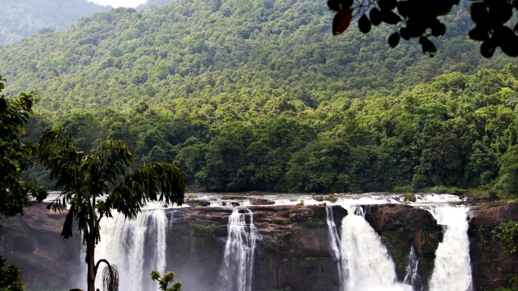 Waterfall surrounded by lush green trees on the way to Munnar