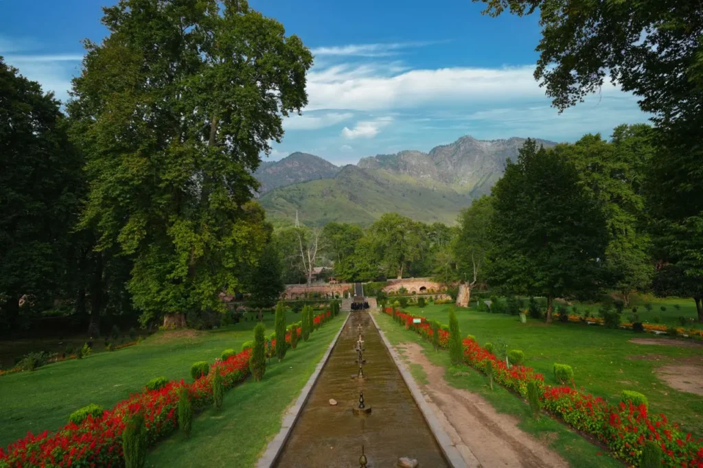 5 Nights 6 Days Kashmir Tour